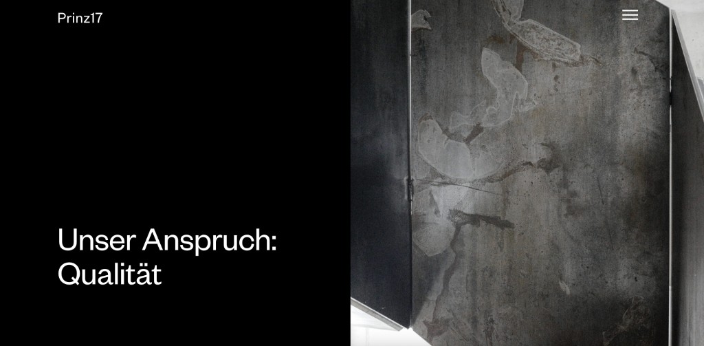 Website-Screenshot Projekt Prinz17